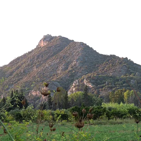 Domusanna Alojamento de Acomodação e Pequeno-almoço