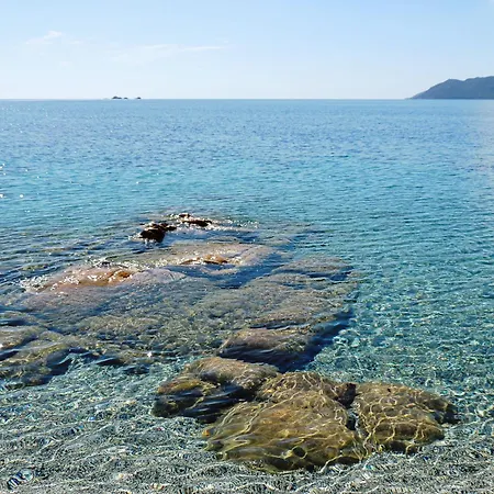 Alojamento de Acomodação e Pequeno-almoço Domusanna *