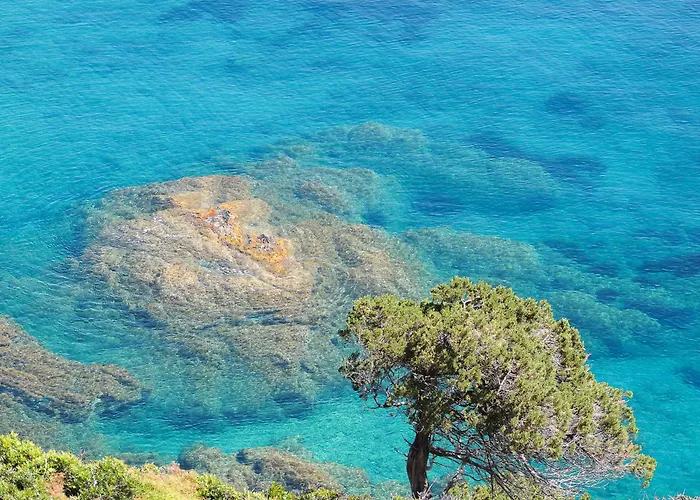 Domusanna 维拉普特祖